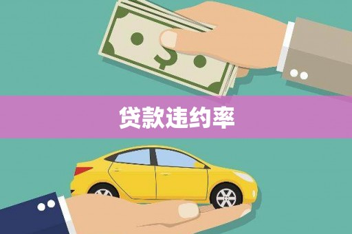 元宝山贷款违约率