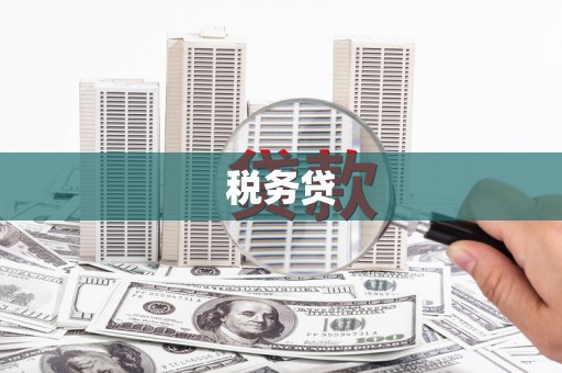 元宝山税务贷