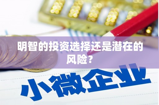 元宝山明智的投资选择还是潜在的风险？