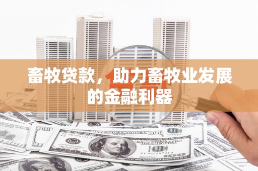 元宝山畜牧贷款，助力畜牧业发展的金融利器