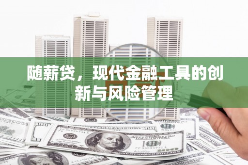 元宝山随薪贷，现代金融工具的创新与风险管理