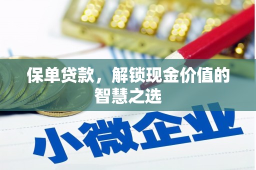 元宝山保单贷款，解锁现金价值的智慧之选