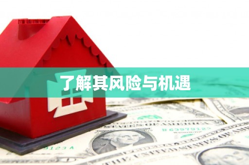 元宝山了解其风险与机遇