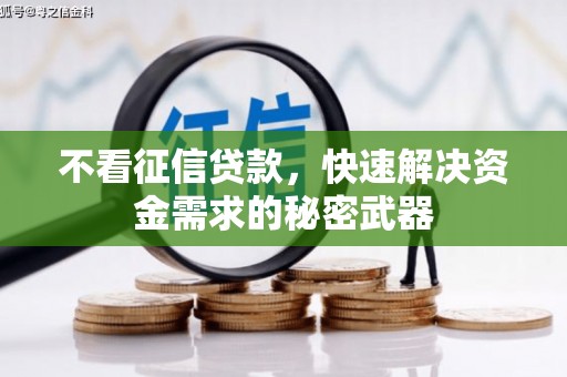 元宝山不看征信贷款，快速解决资金需求的秘密武器