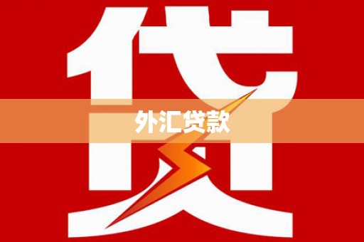 元宝山外汇贷款