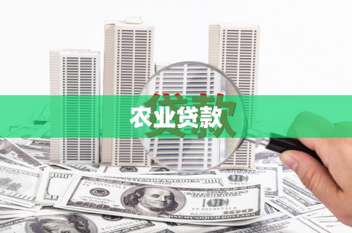 元宝山农业贷款