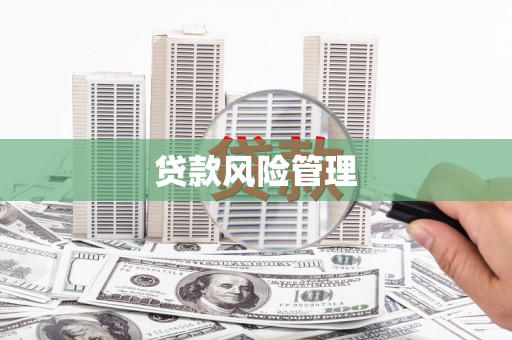 元宝山贷款风险管理