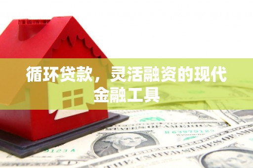 元宝山循环贷款，灵活融资的现代金融工具