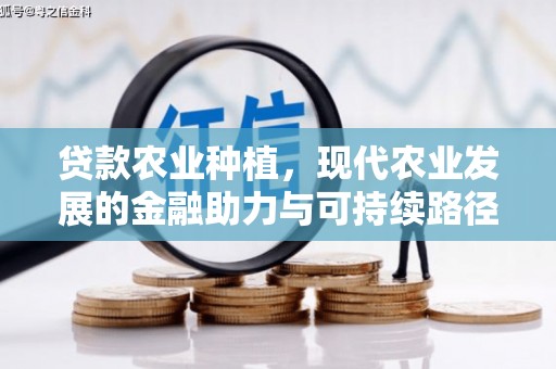 元宝山贷款农业种植，现代农业发展的金融助力与可持续路径