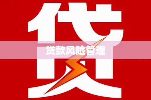 元宝山贷款风险管理