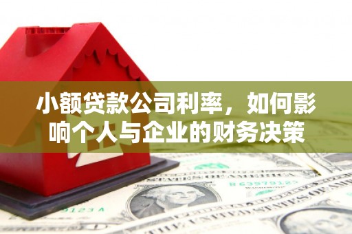 元宝山小额贷款公司利率，如何影响个人与企业的财务决策