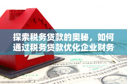 元宝山探索税务贷款的奥秘，如何通过税务贷款优化企业财务