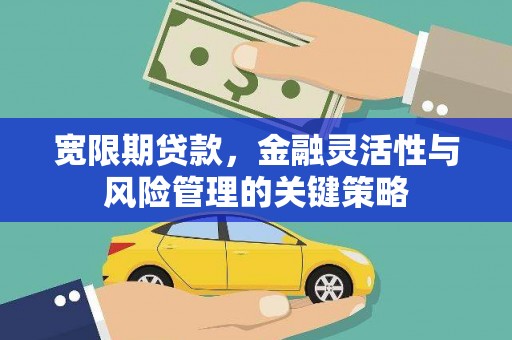 元宝山宽限期贷款，金融灵活性与风险管理的关键策略