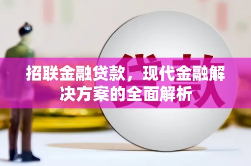 元宝山招联金融贷款，现代金融解决方案的全面解析