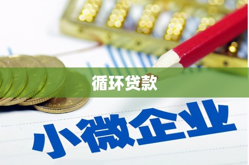 元宝山循环贷款