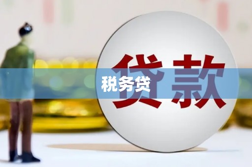 元宝山税务贷