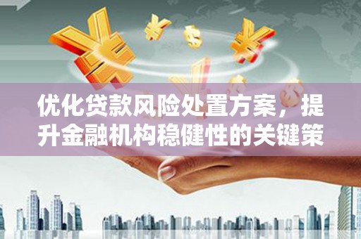 元宝山优化贷款风险处置方案，提升金融机构稳健性的关键策略