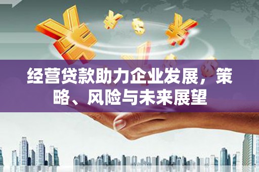 元宝山经营贷款助力企业发展，策略、风险与未来展望