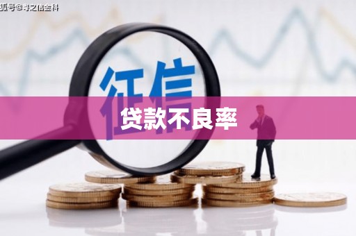 元宝山贷款不良率