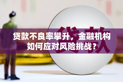 元宝山贷款不良率攀升，金融机构如何应对风险挑战？