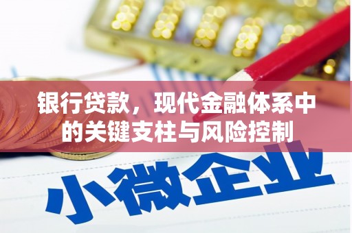 元宝山银行贷款，现代金融体系中的关键支柱与风险控制