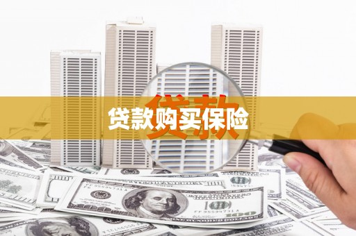 元宝山贷款购买保险