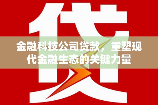 元宝山金融科技公司贷款，重塑现代金融生态的关键力量