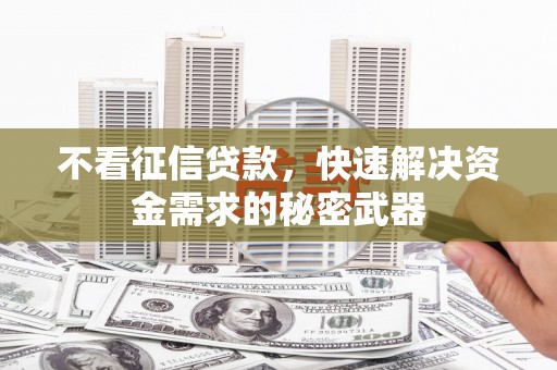 元宝山不看征信贷款，快速解决资金需求的秘密武器