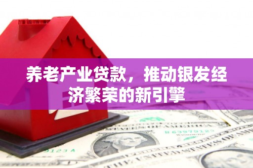 元宝山养老产业贷款，推动银发经济繁荣的新引擎