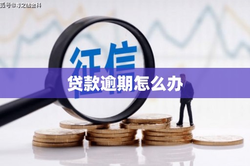 元宝山贷款逾期怎么办