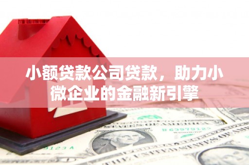 元宝山小额贷款公司贷款，助力小微企业的金融新引擎