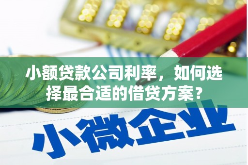 元宝山小额贷款公司利率，如何选择最合适的借贷方案？