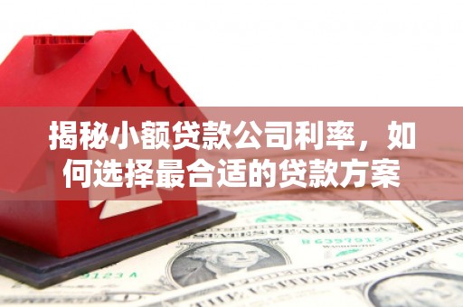 元宝山揭秘小额贷款公司利率，如何选择最合适的贷款方案