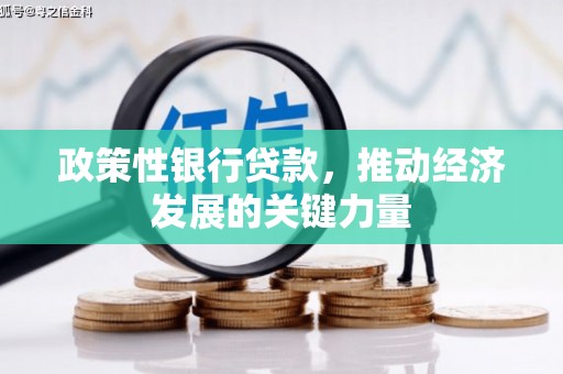 元宝山政策性银行贷款，推动经济发展的关键力量