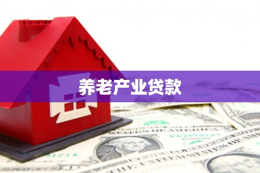 元宝山养老产业贷款