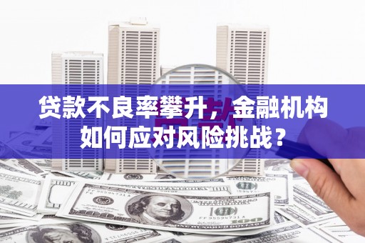 元宝山贷款不良率攀升，金融机构如何应对风险挑战？