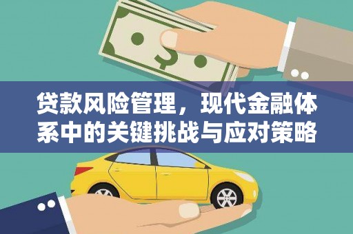 元宝山贷款风险管理，现代金融体系中的关键挑战与应对策略