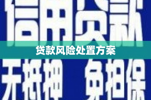 元宝山贷款风险处置方案