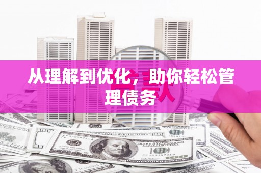 元宝山从理解到优化，助你轻松管理债务