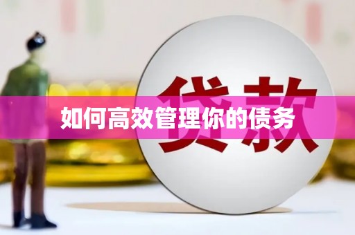 元宝山如何高效管理你的债务