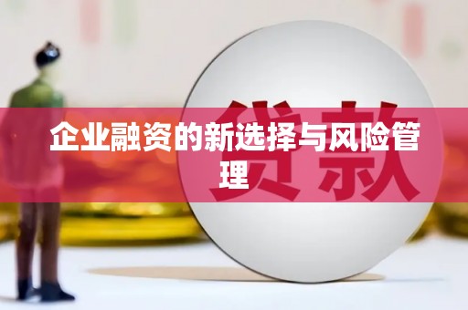 元宝山企业融资的新选择与风险管理