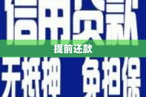 元宝山提前还款